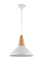 Подвесной светильник Maytoni P996-PL-01-W