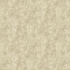 Обои Bruno Zoff Silver 60119-5