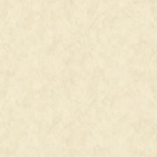 Обои Bruno Zoff Silver 60114-3