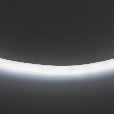 Лента белого свечения Neoled 220V CW 3,4W/m, (1шт=1м) Neoled Lightstar 430204
