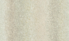 A55209