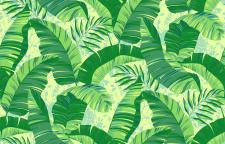 Обои Loymina Lemonade Lemonade LM 9-005-1