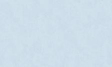 Обои Bernardo Bartalucci Constance 84220-4