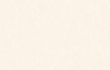 ARTS13 101-2