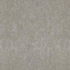 Обои Rasch Metal Spirit 977424