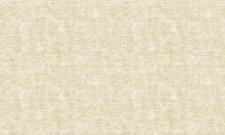 Обои Bruno Zoff Gold 60121-1