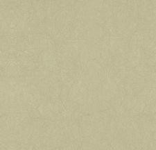 Обои Bernardo Bartalucci Legend 5068-64