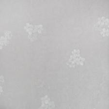 Обои Bernardo Bartalucci Sarrieri 5081-5