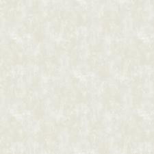 Обои Bruno Zoff Silver 60119-1