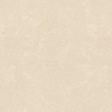 Обои Rasch Metal Spirit 977127