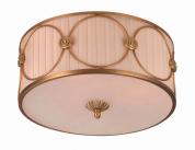 Потолочный светильник Divinare 4006/01 PL-3