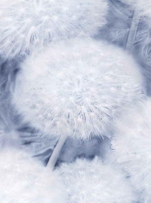 SP72380-64