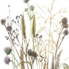 панно Marburg Boho 35799