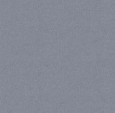 Обои Victoria Stenova COLIBRI VSC285808