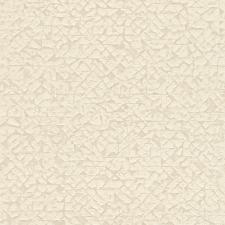 Обои Rasch Kalahari 704334