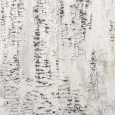 Обои Rasch Composition 554045