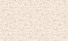 Обои Bruno Zoff Gold 60128-4