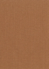 20024