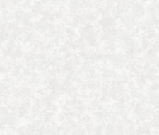 Обои Alessandro Allori Four Seasons RST1608-1