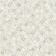 Обои Bruno Zoff Silver 60117-1