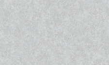 A55106