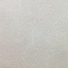 Обои Marburg Patent Decor 1889