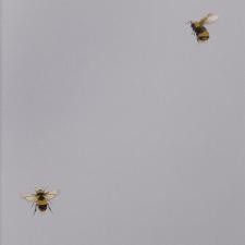 Обои Andrea Rossi Cavolli 54419-3