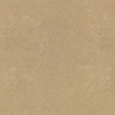 Обои Rasch Metal Spirit 977165