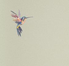 Обои Andrea Rossi Spectrum Plus 54356-5