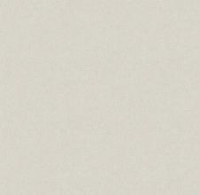 Обои Victoria Stenova COLIBRI VSC285806