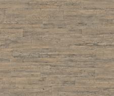 Обои Rasch Curiosity 537031