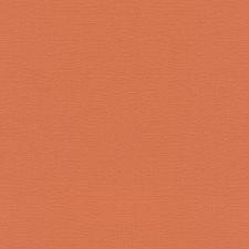 Обои Rasch Tropical House 687569