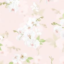 Обои Andrea Rossi Stromboli 54342-2