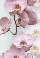 Обои Andrea Rossi Pianosa 54169-3