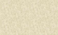 Обои Bruno Zoff Gold 60120-1