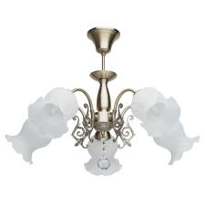 Люстра подвесная MW Light 670010205