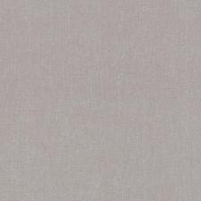 Palitra Dandelion Chiki SP71992-48