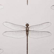 Обои Andrea Rossi Cavolli 54426-2