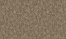 Обои Bruno Zoff Gold 60122-10