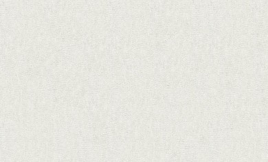 обои rasch paolo 930610