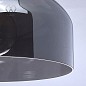 Подвесной светильник MW Light 463010901