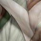 Обои Palitra Trend Nature TC72480-72