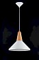 Подвесной светильник Maytoni P996-PL-01-W