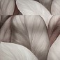 Обои Palitra Trend Nature TC72480-82
