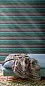 Обои Missoni home Missoni Home 2 10181