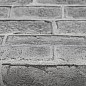 Обои WallSecret The wall TW8866-19