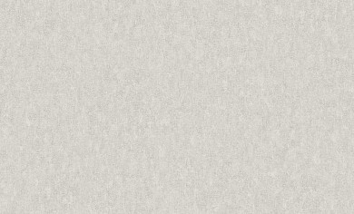 обои rasch paolo pl930665