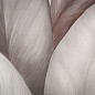 Обои Palitra Trend Nature TC72480-82