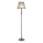 Торшер Maytoni Monsoon ARM154-FL-01-S