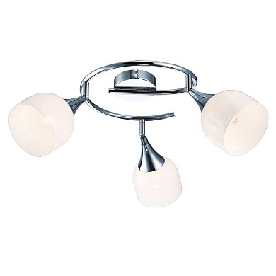 Спот Arte Lamp A9556PL-3CC